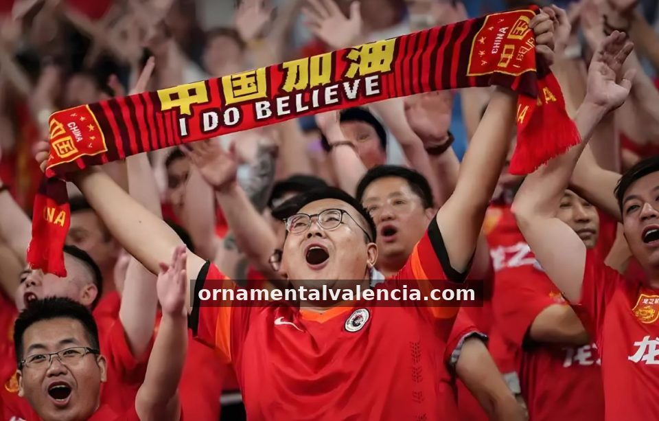 看个球 实时回放与战术拆解画面